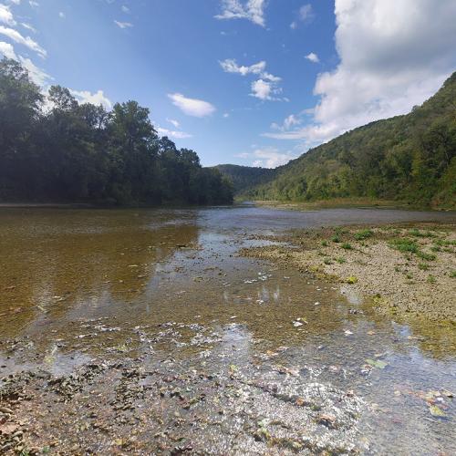 Buffalo National River in Flippin, AR (Google Maps)