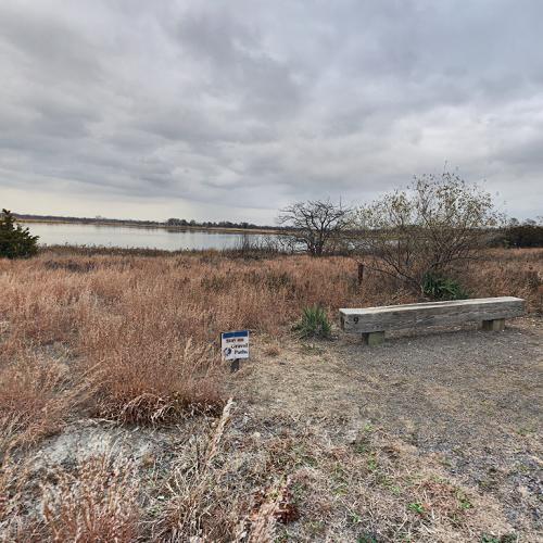 Jamaica Bay Wildlife Refuge In New York Ny Google Maps