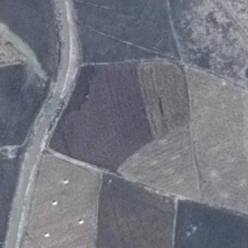 virtual globetrotting