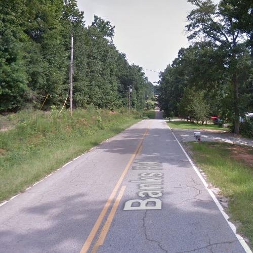 Tree Roadblock (