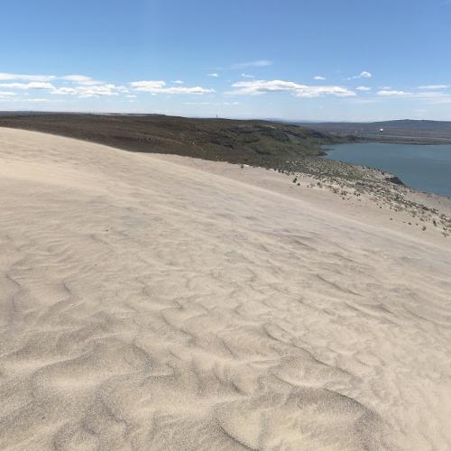Ringold Formation in Richland, WA (Google Maps)