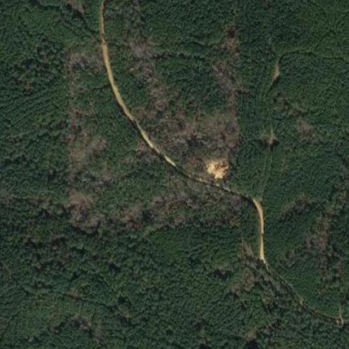 Dancing Rabbit Creek Treaty Site in Macon, MS (Google Maps)