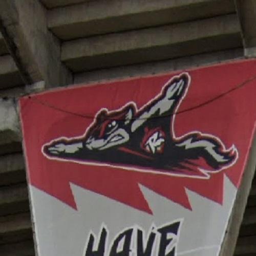 Richmond Flying Squirrels logo in Richmond, VA (Google Maps)