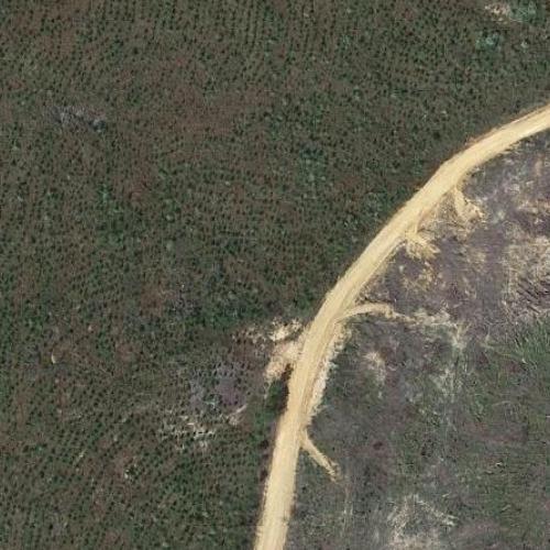 Geographical Center of Mississippi in Canton, MS (Google Maps)