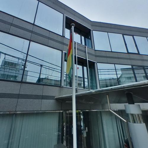 Embassy Of Ghana Tokyo In Tokyo Japan Virtual Globetrotting