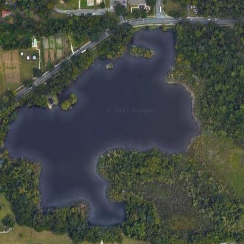 Lake Alice in Gainesville, FL (Google Maps)