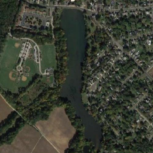 Alcyon Lake Activities