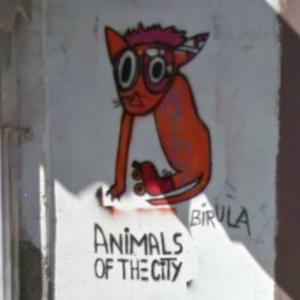 Animals of the city (StreetView)