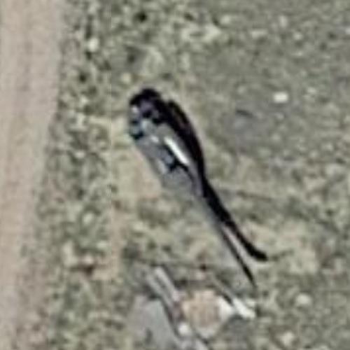 UH1 in Guernsey, WY (Google Maps) (7)