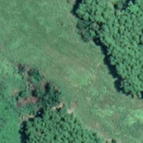 Hewa Bora Airways Flight 952 crash site in Kisangani, Democratic