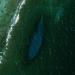 White Hole (Bonaire)
