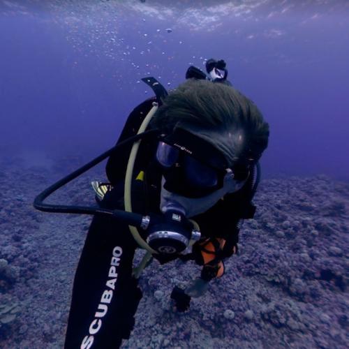 Jon Schleyer in Henderson Island, Pitcairn (Google Maps)