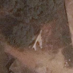 F-6 (Google Maps)