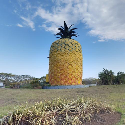 The Big Pineapple in Port Alfred, South Africa (Google Maps) (2)