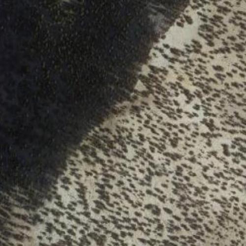 Clem Nelson Peak (W6/WH007) in CA (Google Maps)