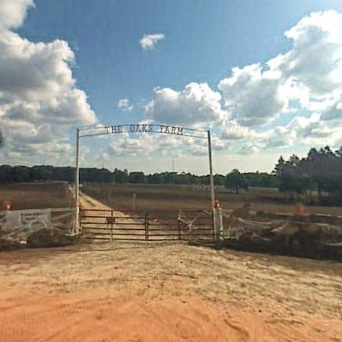 Seacrest Wolf Preserve in Chipley, FL (Google Maps)