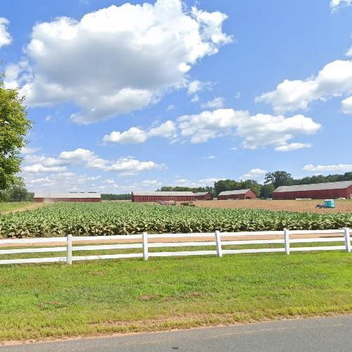 Dunn and Foster Tobacco Farm in Ellington, CT (Google Maps)