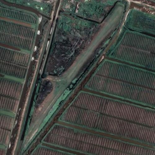 albion-airport-in-fort-wellington-guyana-google-maps