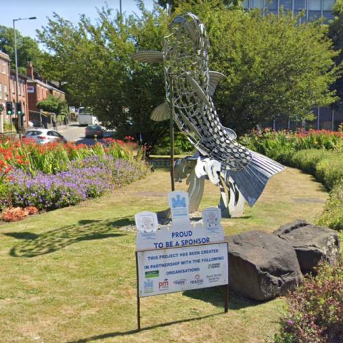 “The Brown Trout” in Newcastle under Lyme, United Kingdom (Google Maps)