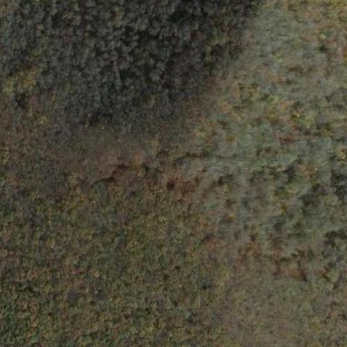 Blockhouse Mountain (W4C/WM0017) in Fontana Dam, TN (Google Maps)