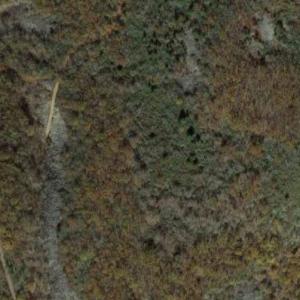 1298 metre Summit – Lexington County, Virginia (W4V/LX-005) (Google Maps)