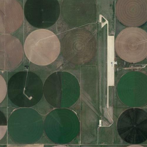 Miller Field (Dalhart Army Airfield Auxiliary No. 2) in Dalhart, TX