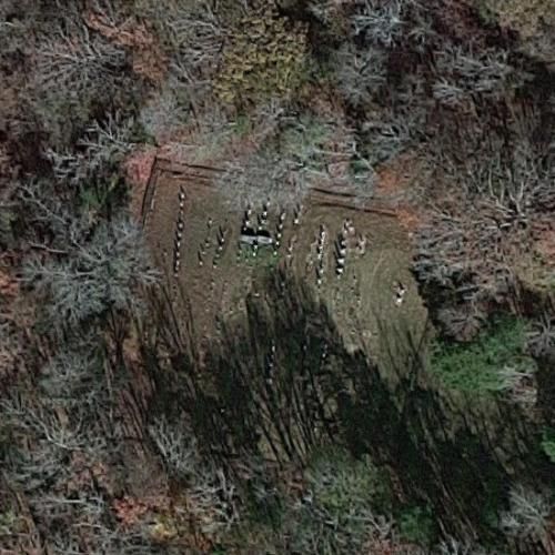 Lindsay Cemetery in Donalds, SC (Google Maps)