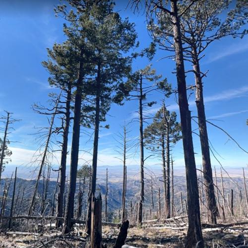 Chiricahua Peak (W7A/AE012) in Portal, AZ (Google Maps)