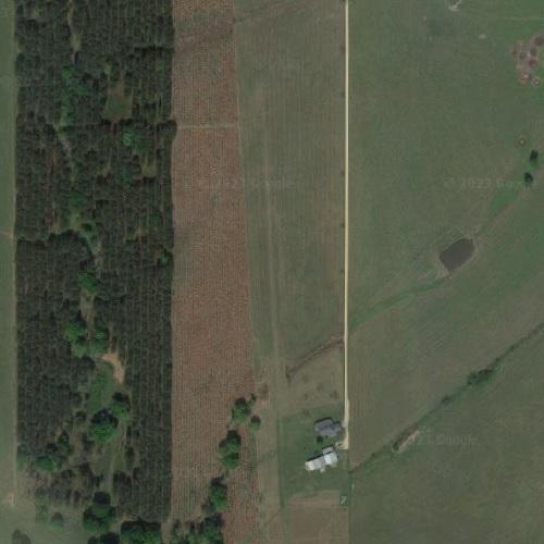Sycamore Airport in Husser, LA (Google Maps)