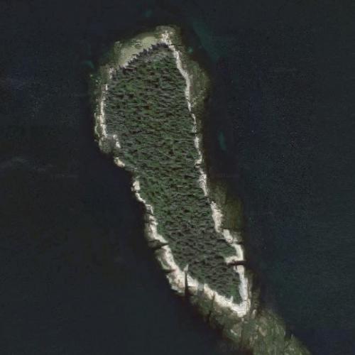 Ned Island in Bar Harbor ME Google - Ned Island 