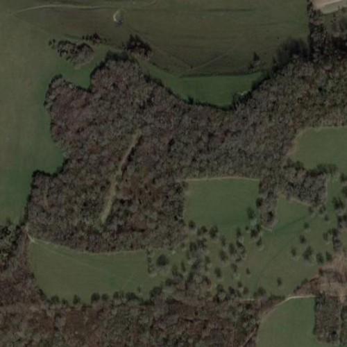 Clapham Wood in Clapham, United Kingdom (Google Maps)