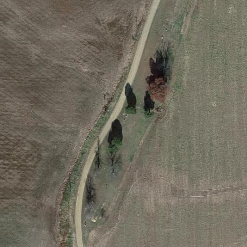 Allen Cemetery in Knobel, AR (Google Maps)