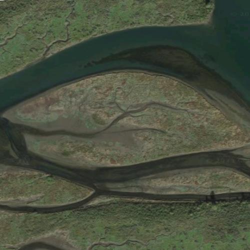 Goose Island in Astoria, OR (Google Maps) (4)
