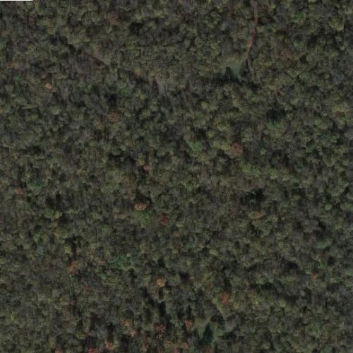 Whiskey Island in Tunica Resorts, MS (Google Maps)