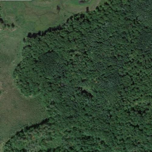 Pine Island in Lake Shore, MN (Google Maps) (4)