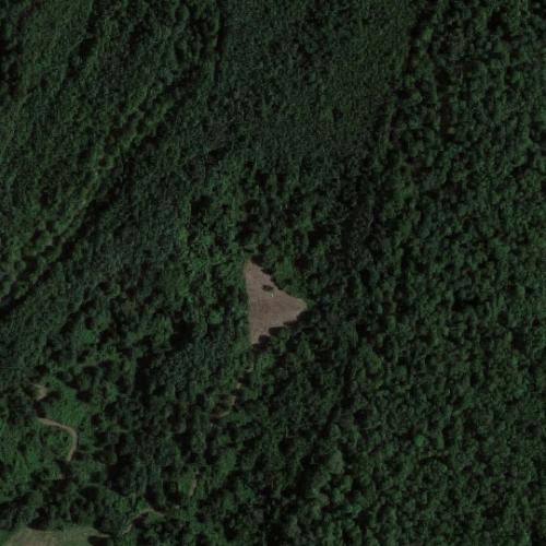 Indian Hill Island in Cardwell, MO (Google Maps)