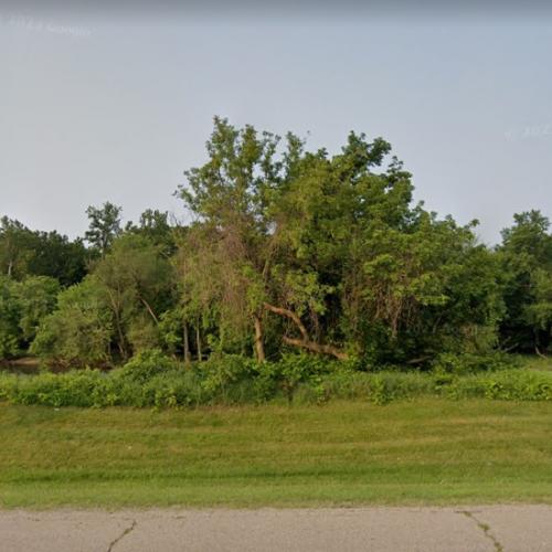 Pardee Island in Berrien Springs, MI (Google Maps)