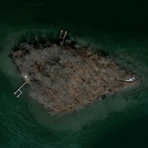 Rattlesnake Island in Dowagiac, MI (Google Maps) (3)
