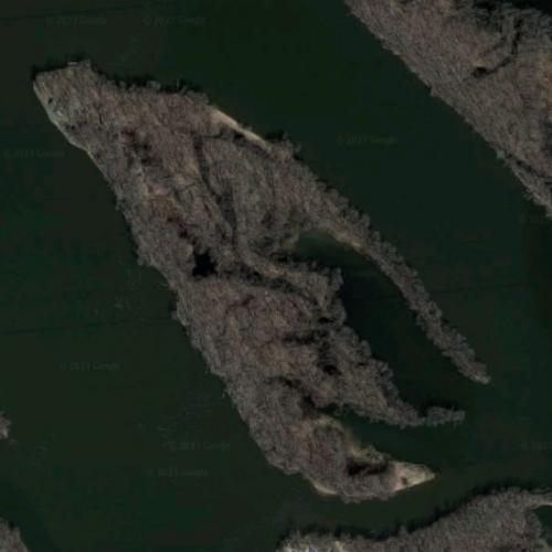 Island Number Seventyone in Bluff Siding, WI (Google Maps)