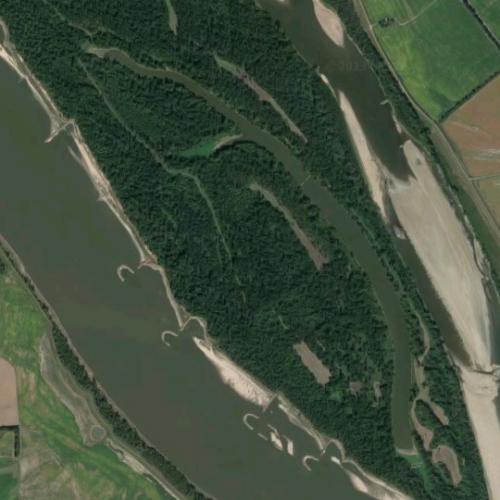 Goose Island in Cairo, IL (Google Maps) (7)