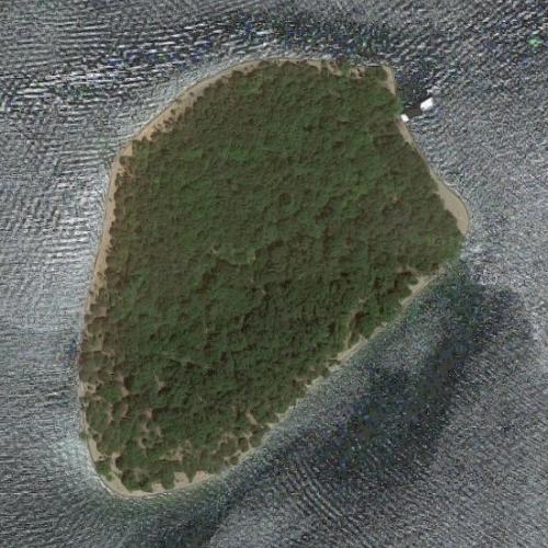 Little Goat Island in Fairview, TN (Google Maps) (2)