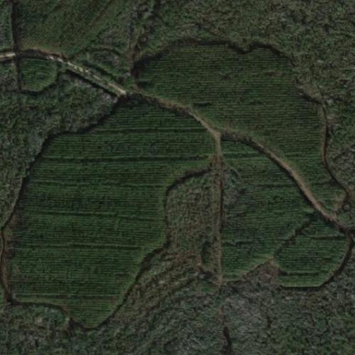 Briar Island in Waycross, GA (Google Maps)