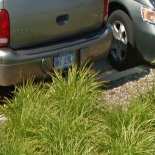 registration plate not blurred - Registration Plate Not Blurred 