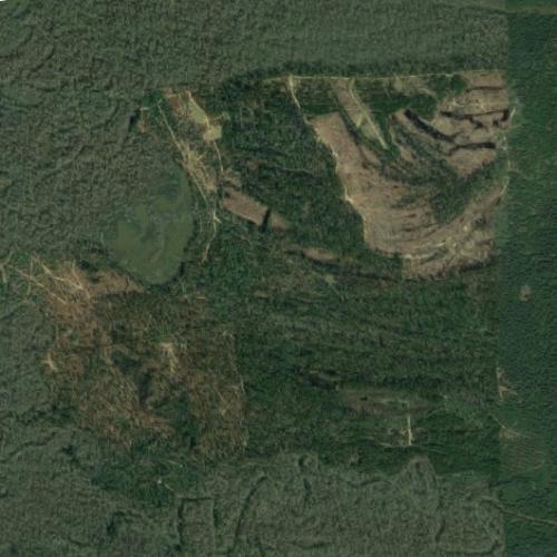 Pine Island in Lufkin, TX (Google Maps)