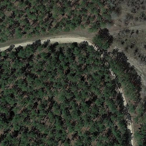 Pine Island in Diboll, TX (Google Maps)