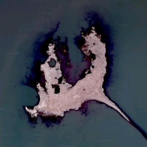 Bird Island in Provo, UT (Google Maps) (8)