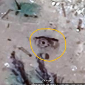 Destroyed Russian BTR-82A(M) in Mariupol, Ukraine (#2) - Virtual