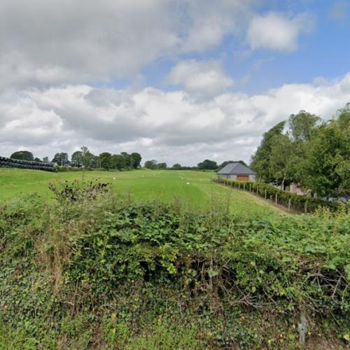 Clonkeiffy Farm Airstrip in Bailieborough, Ireland (Google Maps)
