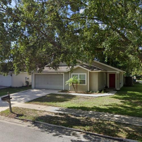 The Boggs' house in Lutz, FL (Google Maps)