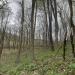Woodbury Wildlife Area (KFF-6491)